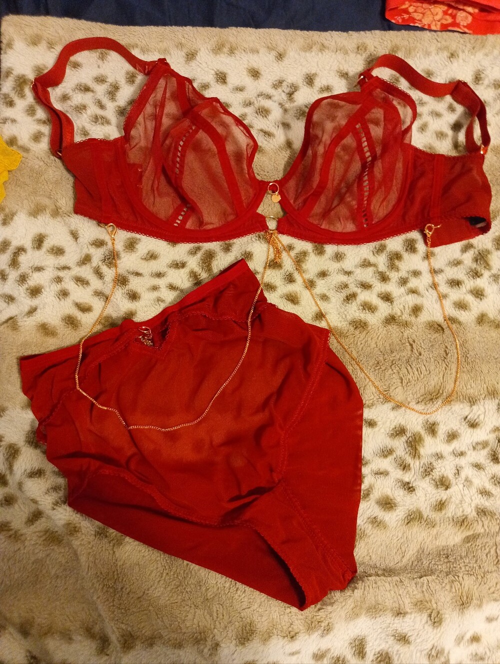 Scarlet Curvy Kate Scantilly 30g/30j Set , Size 10 Cutout Briefs
